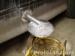 thm_DSC03439.jpg