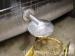 thm_DSC03440.jpg