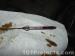 thm_DSC00769.jpg