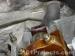 thm_DSC01019.jpg