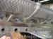 thm_DSC06658.jpg