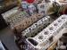 thm_DSC06679.jpg