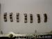 thm_DSC06512.jpg