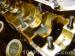 thm_DSC06527.jpg