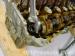thm_DSC06551.jpg