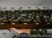 thm_DSC08119.jpg