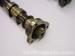 thm_DSC08128.jpg