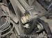 thm_DSC07383.jpg