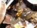 thm_DSC04428.jpg