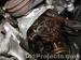 thm_DSC08617.jpg