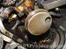 thm_DSC08627.jpg