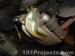 thm_DSC08631.jpg