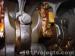 thm_DSC08637.jpg