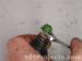thm_DSC01150.jpg
