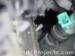 thm_DSC05424.jpg