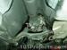 thm_DSC03537.jpg