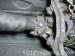 thm_DSC03548.jpg