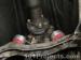 thm_DSC04498.jpg