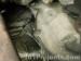 thm_DSC03618.jpg