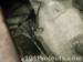 thm_DSC03619.jpg