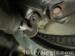 thm_DSC03888.jpg