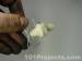 thm_DSC04084.jpg