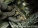 thm_DSC04281.jpg