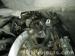 thm_DSC04288.jpg