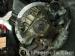thm_DSC04290.jpg