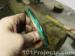 thm_DSC04321.jpg