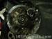 thm_DSC04331.jpg