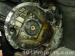 thm_DSC04335.jpg