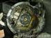 thm_DSC04336.jpg