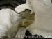 thm_DSC04552.jpg