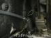 thm_DSC04554.jpg