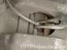 thm_DSC03694.jpg