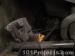 thm_DSC03697.jpg