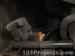 thm_DSC03698.jpg