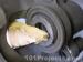 thm_DSC03741.jpg