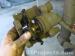 thm_DSC03743.jpg