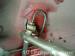 thm_DSC03851.jpg