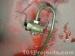 thm_DSC03852.jpg