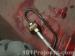 thm_DSC03856.jpg