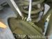 thm_DSC03872.jpg