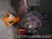 thm_DSC05242.jpg