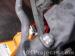 thm_DSC05247.jpg
