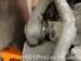 thm_DSC00060.jpg