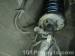 thm_DSC00066.jpg
