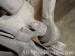 thm_DSC05053.jpg