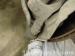 thm_DSC05067.jpg